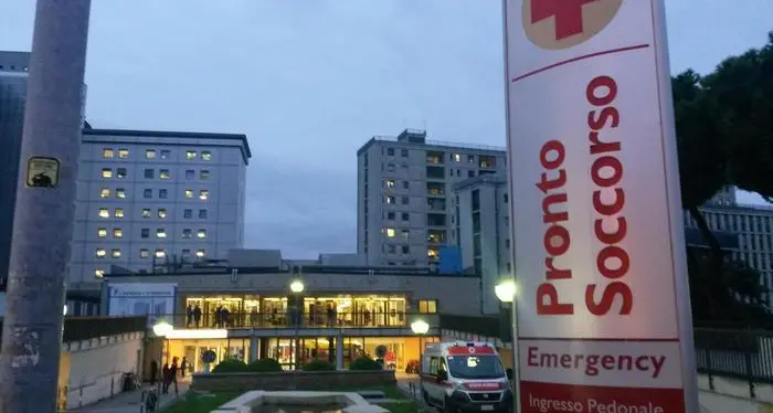 La bambina colpita da Seu è ancora grave a Padova. Sequestro di formaggi in malga