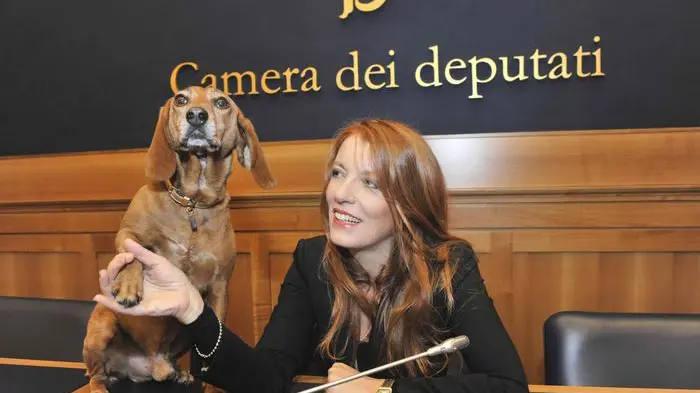Uff. stampa Michela Vittoria Bra