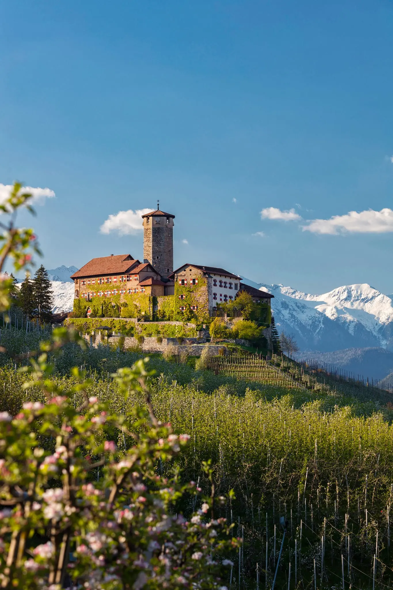 I magnifici castelli della val di Non aperti a Ferragosto