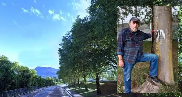 Ciclabile Povo-Villazzano, continuano le proteste: una lettera su ogni albero contro l’abbattimento