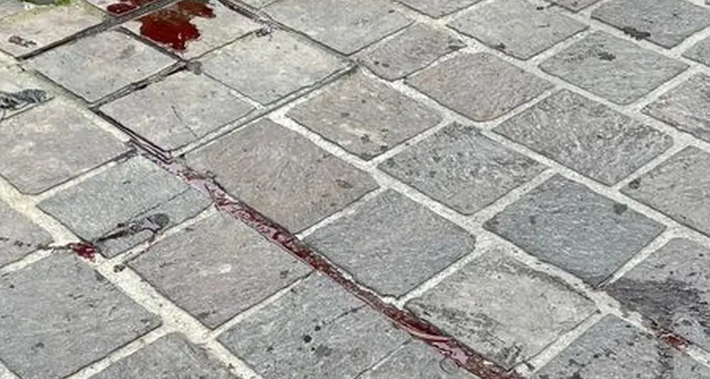 Lago di Garda, quelle macchie di sangue sulla passeggiata