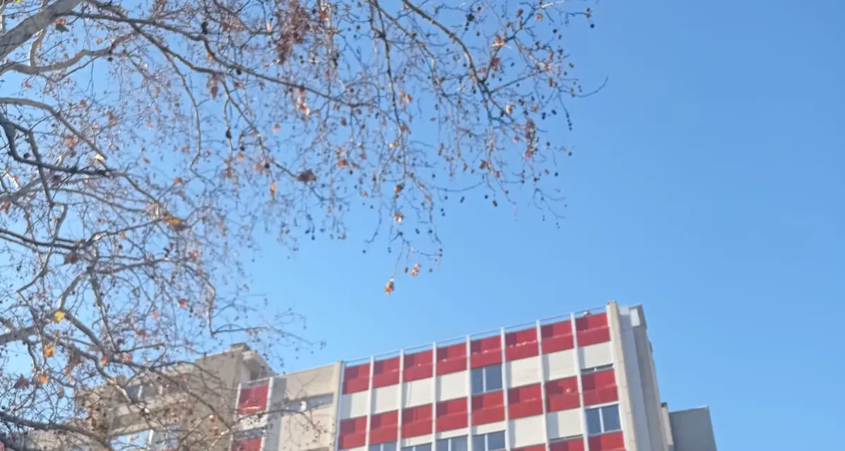 Rovereto: alla Vannetti è stata confermata presidente Daniela Roner, questo il suo quarto mandato