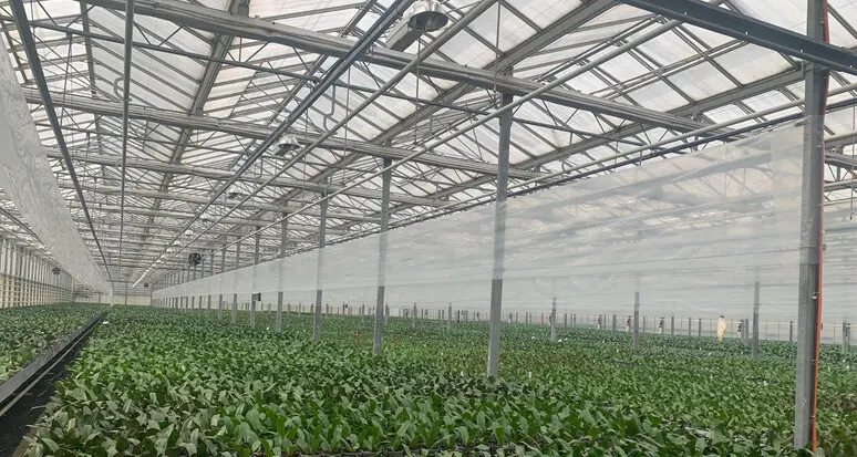 Contratto collettivo agricoli, salta il tavolo e i lavoratori tornano in sciopero