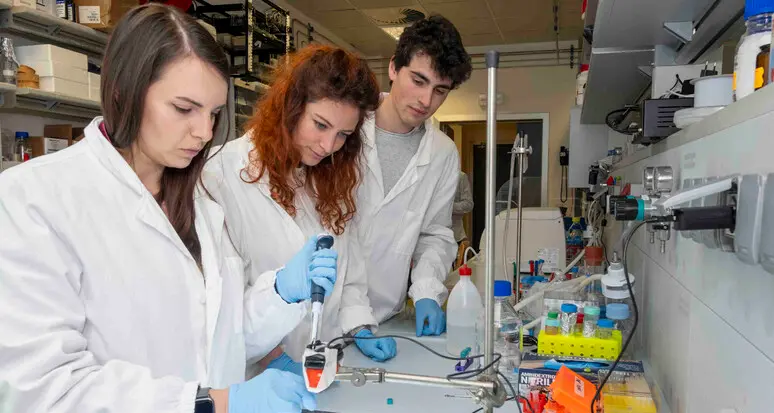 Cellule artificiali per combattere i tumori: all'Università di Trento 6,5 milioni di euro