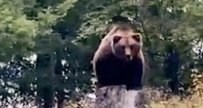 Trento, l’assessore Failoni visita il turista francese aggredito dall'orso: «Persona eccezionale»