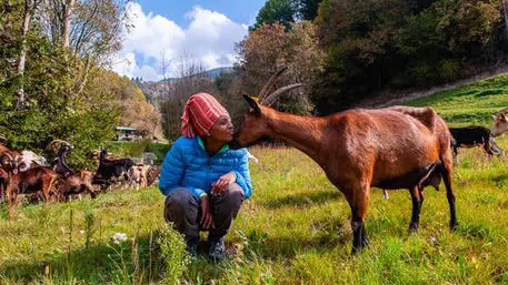 FACEBOOK AZIENDA AGRICOLA \"LA CA