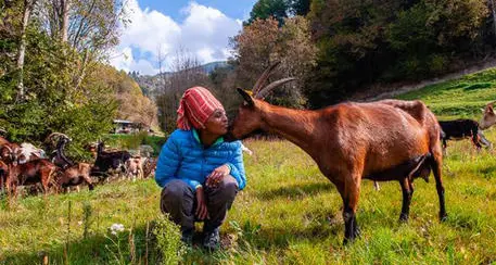 Funerali di Stato in Etiopia per Agitu, fratelli grati ai trentini: “Unici”