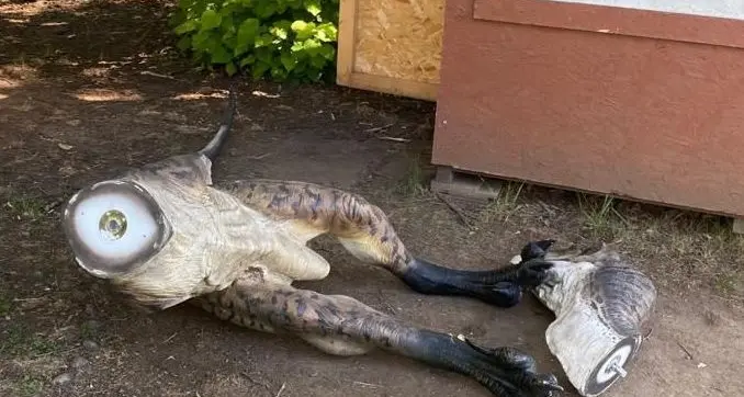 Rovereto, raid vandalico alla mostra dei dinosauri: ingenti i danni