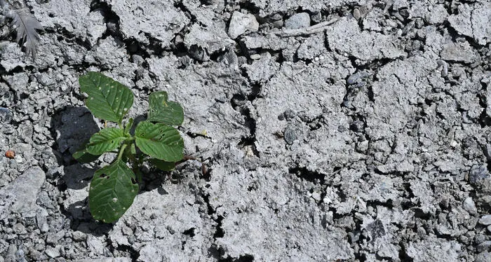 Notti senza acqua e fontane chiuse: le decisioni dei sindaci trentini contro la siccità