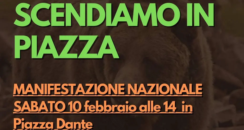 Orsi in Trentino: nuove azioni di protesta di StopCasteller, sabato 10 a Trento il corteo nazionale