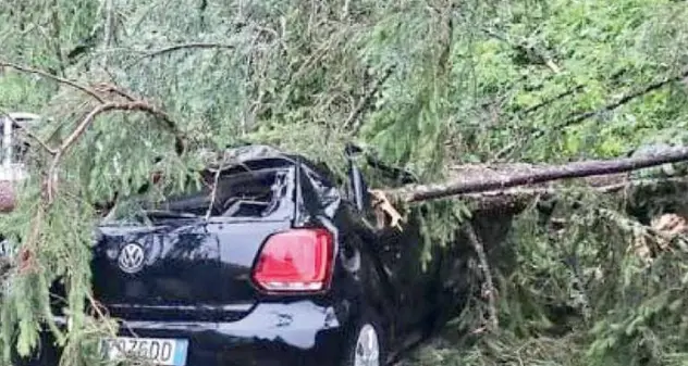 I giovani con «l’ansia da clima»