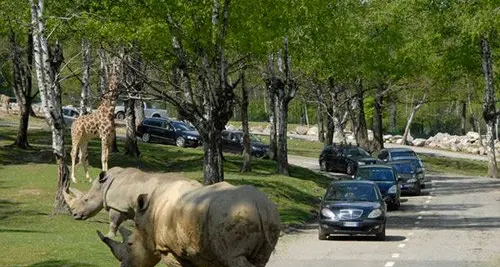 Bussolengo, il Parco Natura Viva verso il cambio di proprietà