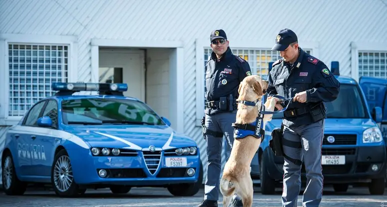 La droga? Tanti i nascondigli in parchi e strade di Trento. Ecco dove l’ha trovata il cane-poliziotto