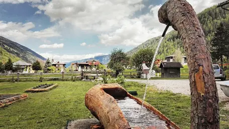 Uff. st. Agriturismo Trentino