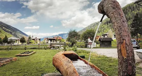 Agriturismi Trentino in crisi: “Siamo ad un punto di non ritorno”