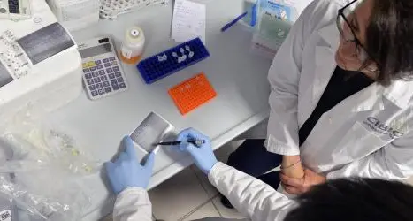 Da un batterio dell’intestino nuove armi contro le malattie genetiche: la scoperta dei ricercatori trentini
