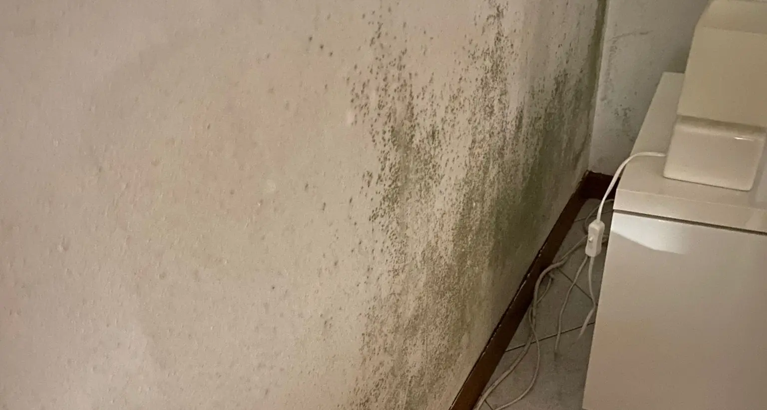 «Alloggio Itea pieno di muffa, ma pago 300 euro al mese»