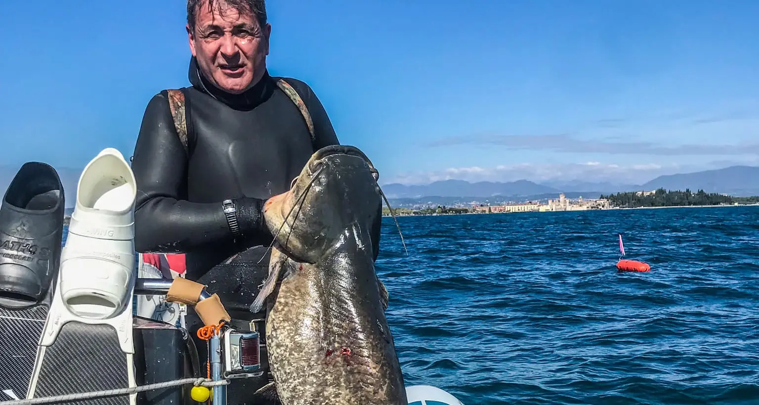 Il pesce siluro è arrivato nel lago di Garda