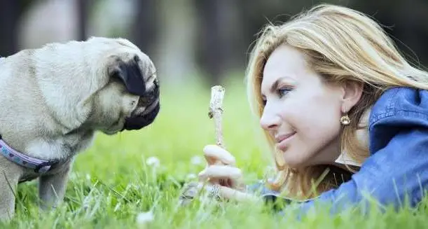 Biancofiore, arriva l’ok per il pet teraphy in ufficio: il 26 giugno cani anche in Parlamento