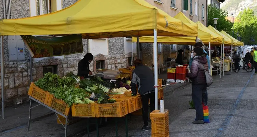 Trento, aiuti alimentari a 1221 famiglie. E ora arriva il buono per il mercato contadino