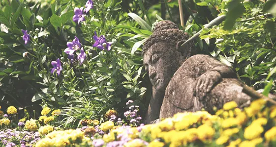 Lago di Garda, il giardino botanico di Gardone ora è della famiglia Porsche