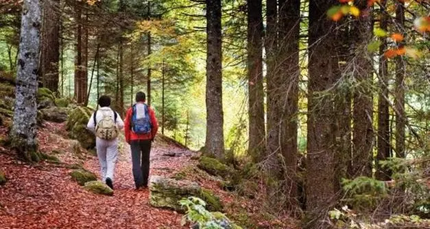 Trentino Marketing lancia una campagna di 2,7 milioni per promuovere l'autunno trentino