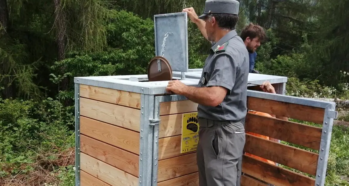 A Dimaro i primi cassonetti anti-orso: di legno e metallo