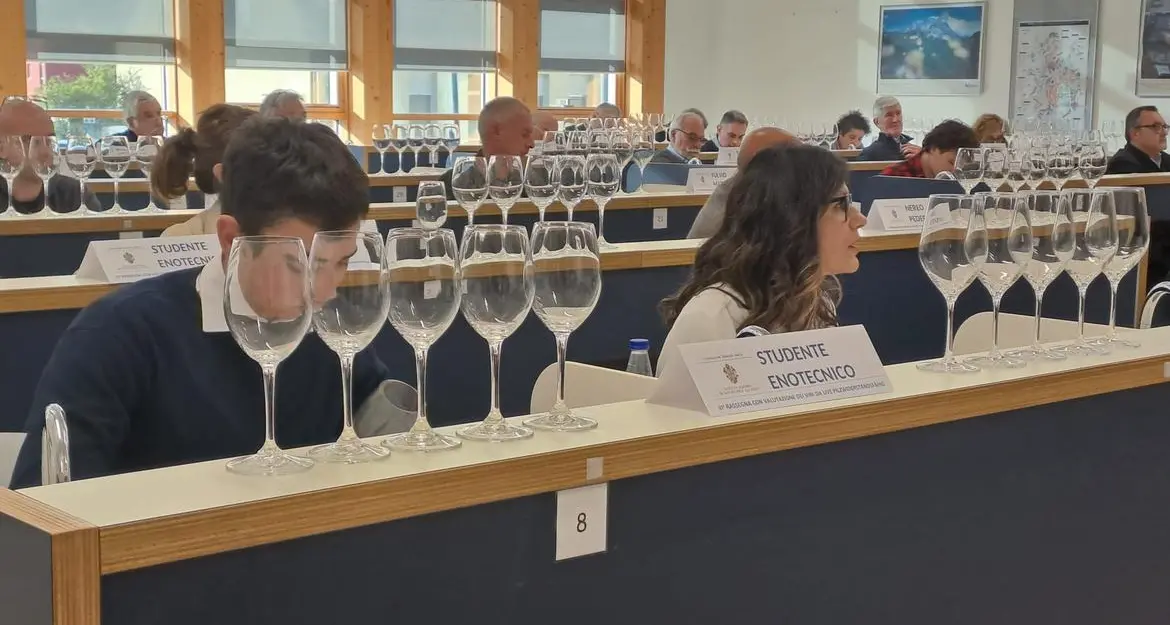 Vitigni resistenti: Al via la terza edizione con più di 110 etichette in gara