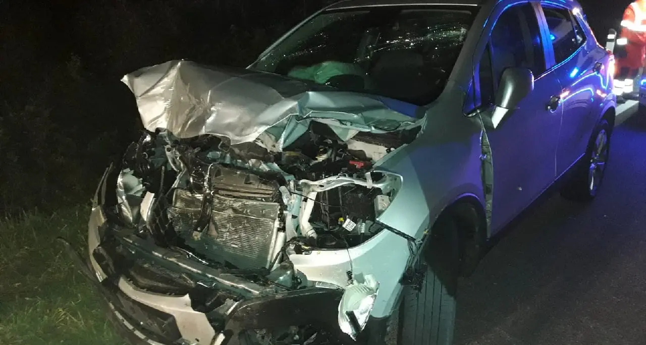 Cimego, scontro fra un’auto e un cervo