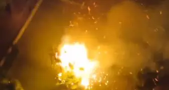 A fuoco due palme: i vandali tornano a colpire a Riva del Garda