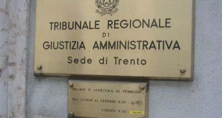 Orsi e lupi, tra Provincia e Tar un rapporto difficile, ma Fugatti apre: «Collaborazione nel rispetto delle prerogative»