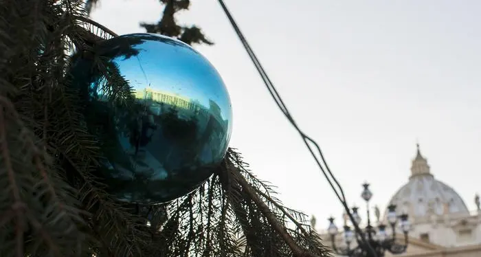 Al via i lavori per il presepe e l’albero in Piazza S.Pietro: l’abete di 28 metri arriva da Andalo