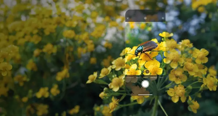 Gran finale per il “City Nature Challenge”: la sfida per documentare flora e fauna delle valli di Fiemme e Fassa