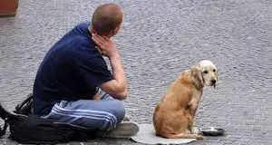 Nuove regole contro l’accattonaggio con i cani: per Zampa Trentina le decisioni prese sono troppo blande