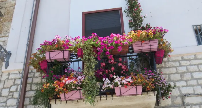 Sul lago di Garda i fiori per i balconi li regala il Comune