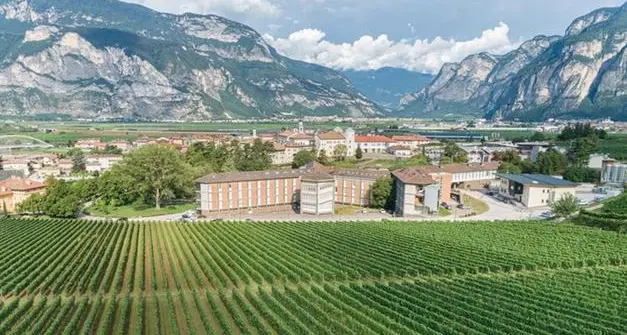 L'istituto agrario della Fondazione Edmund Mach alla guida delle scuole enologiche