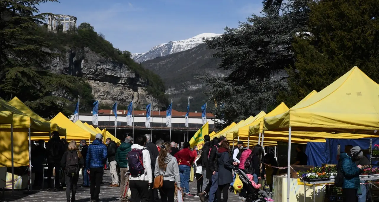A Trento torna il mercato contadino sul listone di piazza Dante. Dove sabato prossimo arriveranno anche i “Gaudenti”