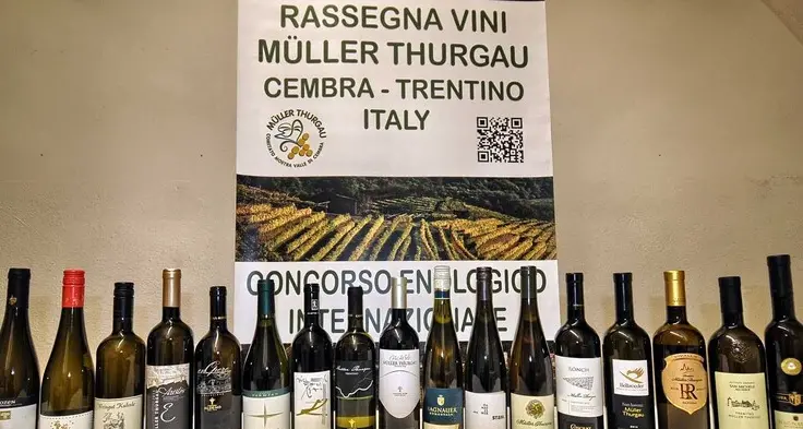 Il Müller Thurgau torna protagonista: 61 etichette alla rassegna di Cembra