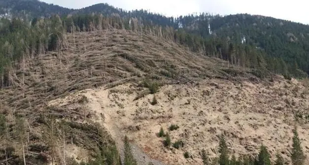 “Dopo la tempesta”, a Pinè una giornata sul climate change
