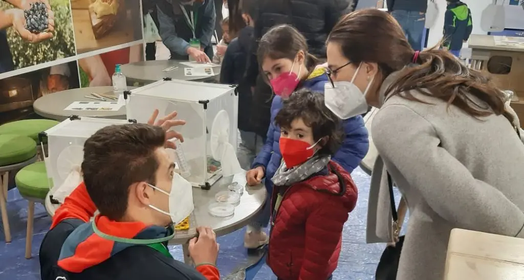 Trento, gli insetti alieni fanno il pieno allo stand Fem