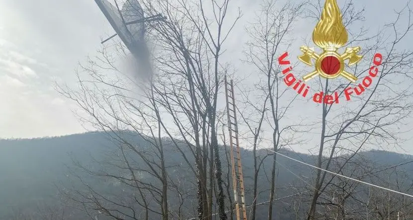 Lago di Garda, deltaplanista resta appeso su un albero: salvato dai vigili