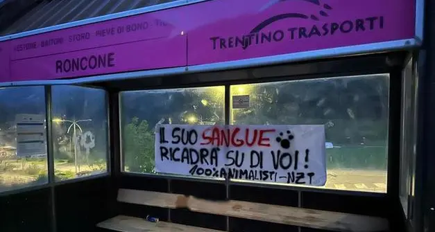 Morte dell’orsa F36, la minaccia animalista a Roncone: «Il suo sangue ricadrà su di voi»