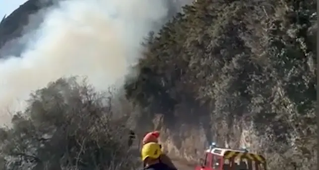 Domato l’incendio sul Garda: zona sotto osservazione per 36 ore