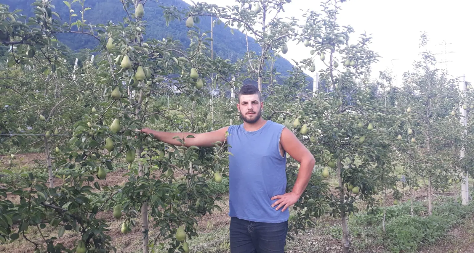Nicola Iseppi, il giovane agricoltore di Levico più forte anche di Vaia: «Mi ha distrutto i frutteti, avevo appena iniziato»