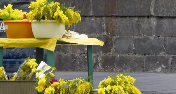 Fiorai abusivi, 6mila euro di multe e due Daspo urbani a Trento