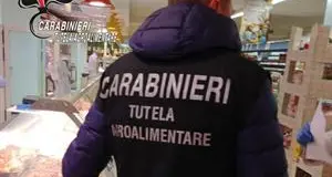 Sequestrati 2.148 chili di speck in un salumificio di Trento