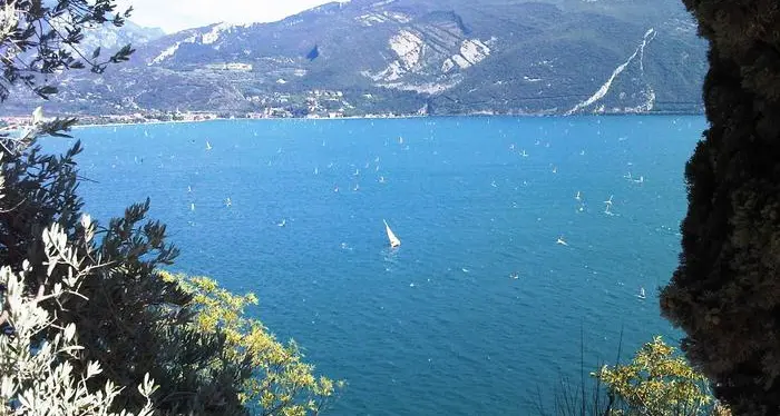 Lago di Garda, acqua troppo calda: prorogato fino al 31 gennaio il divieto di pesca del coregone