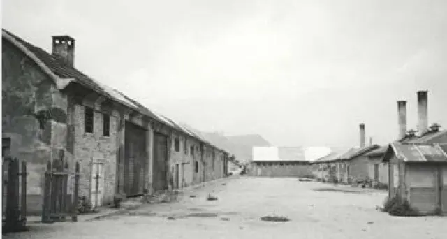 A Trento il Giorno della Memoria tra riflessioni, proiezioni e racconti dei sopravvissuti