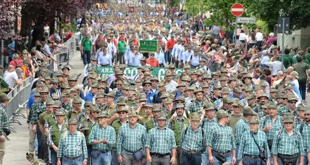 Parco della memoria degli alpini nella pineta devastata da Vaia a Tenna