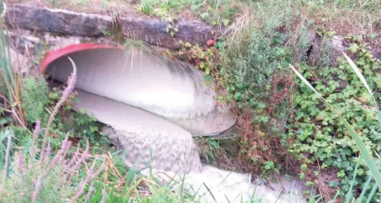 Il Garda tra Pfas e sostanze bianche